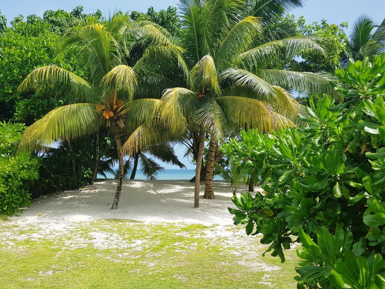 Villa Admiral Grand Anse  Extérieur photo